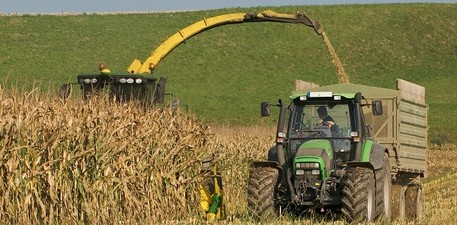 Landwirtschaft