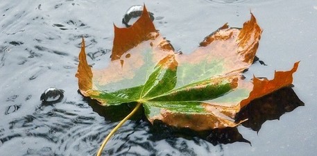 Regenwasserbewirtschaftung