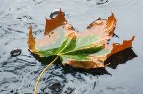 Regenwasserbewirtschaftung