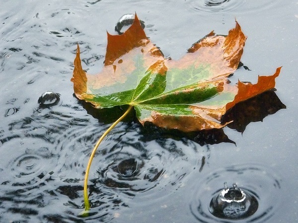 Regenwasserbewirtschaftung