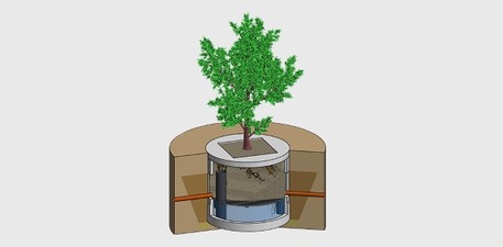 ViaTree - Baumrigole